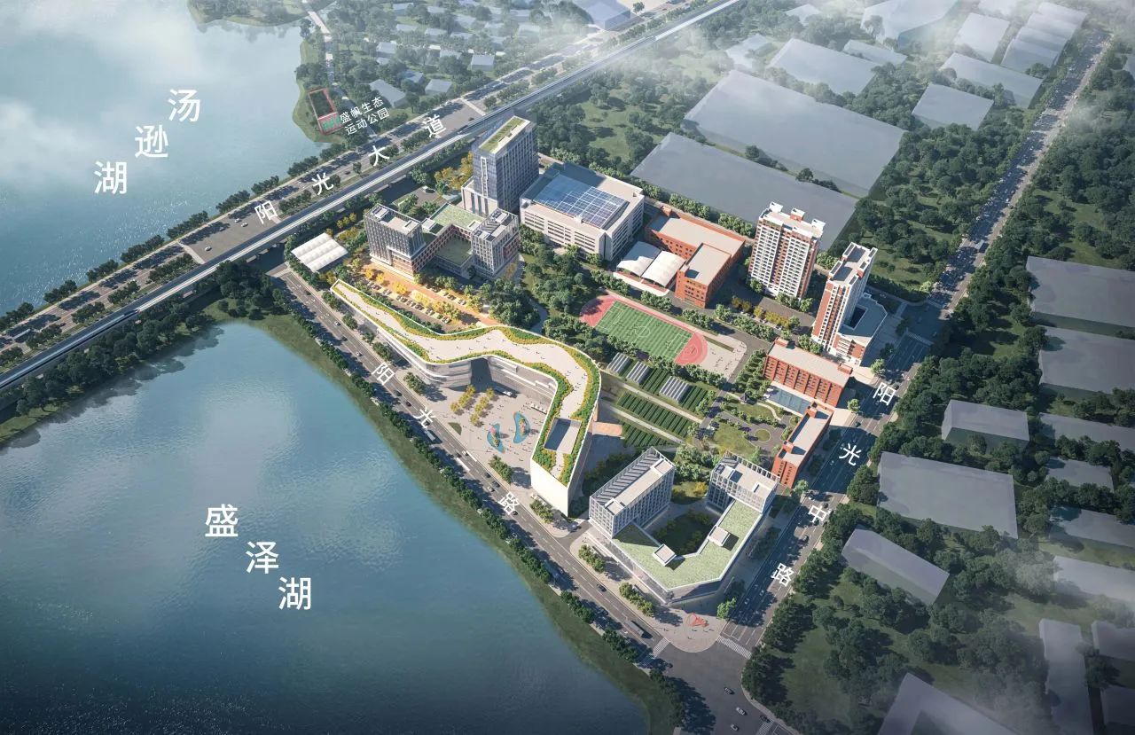 1739171013855257.jpg 1739171013855257.jpg